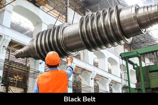 Lean Sigma Black Belt (40 hours) - <br>Starts March 2023